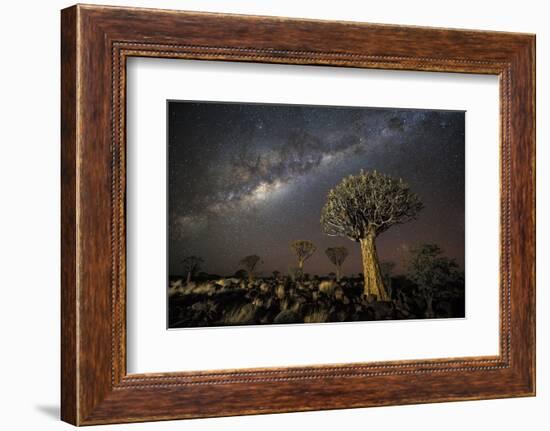 Quiver Tree Forest (Aloe Dichotoma) at Night with Stars and the Milky Way, Keetmanshoop, Namibia-Wim van den Heever-Framed Photographic Print