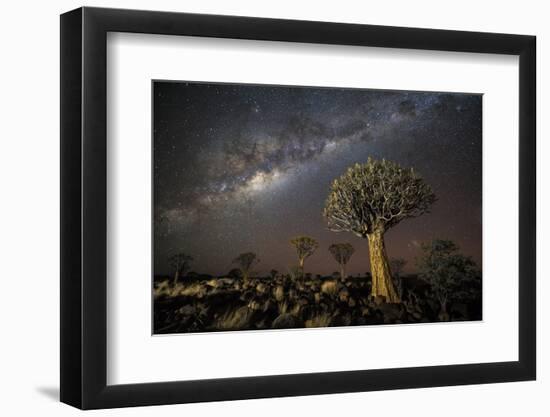 Quiver Tree Forest (Aloe Dichotoma) at Night with Stars and the Milky Way, Keetmanshoop, Namibia-Wim van den Heever-Framed Photographic Print