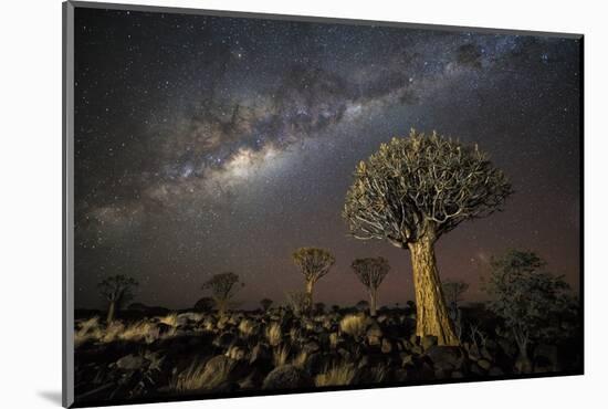 Quiver Tree Forest (Aloe Dichotoma) at Night with Stars and the Milky Way, Keetmanshoop, Namibia-Wim van den Heever-Mounted Photographic Print