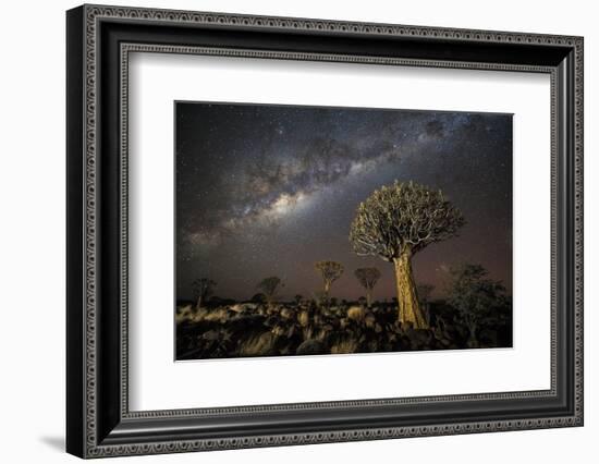 Quiver Tree Forest (Aloe Dichotoma) at Night with Stars and the Milky Way, Keetmanshoop, Namibia-Wim van den Heever-Framed Photographic Print