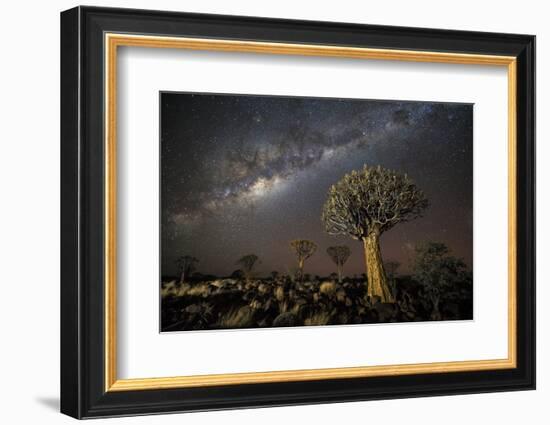 Quiver Tree Forest (Aloe Dichotoma) at Night with Stars and the Milky Way, Keetmanshoop, Namibia-Wim van den Heever-Framed Photographic Print