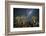 Quiver Tree Forest (Aloe Dichotoma) at Night with Stars and the Milky Way, Keetmanshoop, Namibia-Wim van den Heever-Framed Photographic Print