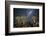 Quiver Tree Forest (Aloe Dichotoma) at Night with Stars and the Milky Way, Keetmanshoop, Namibia-Wim van den Heever-Framed Photographic Print