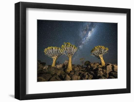 Quiver Tree Forest (Aloe Dichotoma) at Night with Stars and the Milky Way, Keetmanshoop, Namibia-Wim van den Heever-Framed Photographic Print