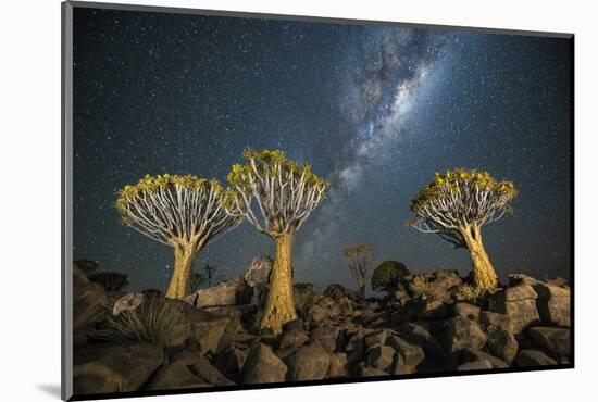 Quiver Tree Forest (Aloe Dichotoma) at Night with Stars and the Milky Way, Keetmanshoop, Namibia-Wim van den Heever-Mounted Photographic Print