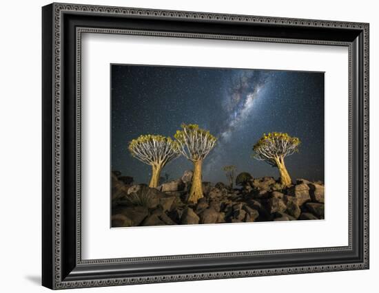 Quiver Tree Forest (Aloe Dichotoma) at Night with Stars and the Milky Way, Keetmanshoop, Namibia-Wim van den Heever-Framed Photographic Print