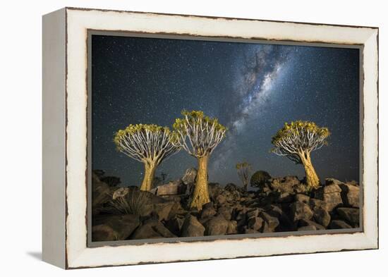 Quiver Tree Forest (Aloe Dichotoma) at Night with Stars and the Milky Way, Keetmanshoop, Namibia-Wim van den Heever-Framed Premier Image Canvas