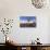 Quiver Tree Forest Outside of Keetmanshoop, Namibia at Dawn-Felix Lipov-Photographic Print displayed on a wall