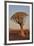 Quiver tree (Kokerboom) (Aloe dichotoma), Gannabos, Namakwa, Namaqualand, South Africa, Africa-James Hager-Framed Photographic Print