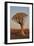 Quiver tree (Kokerboom) (Aloe dichotoma), Gannabos, Namakwa, Namaqualand, South Africa, Africa-James Hager-Framed Photographic Print