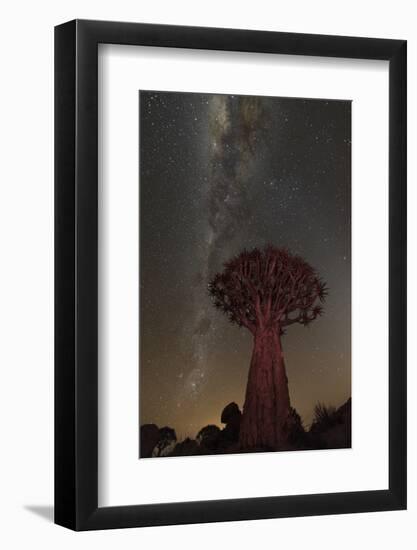 Quiver Tree, Namibia 2-Art Wolfe-Framed Photographic Print