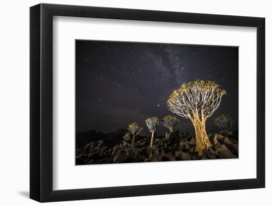 Quiver Trees (Aloe Dichotoma) with the Milky Way at Night, Keetmanshoop, Namibia-Wim van den Heever-Framed Photographic Print