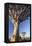 Quiver Trees (Aloe Dichotoma)-Lee Frost-Framed Premier Image Canvas