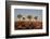 Quiver trees (Kokerboom) (Aloe dichotoma), Gannabos, Namakwa, Namaqualand, South Africa, Africa-James Hager-Framed Photographic Print