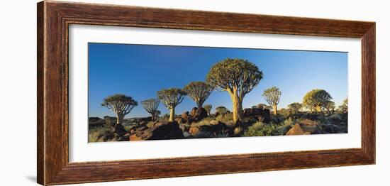 Quiver Trees, Namibia, Africa.-Lee Frost-Framed Photographic Print