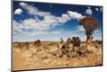 Premium Photographic Print