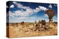Stretched Canvas Print