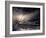 Quiver-Ursula Abresch-Framed Photographic Print