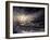 Quiver-Ursula Abresch-Framed Photographic Print