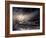 Quiver-Ursula Abresch-Framed Photographic Print