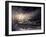 Quiver-Ursula Abresch-Framed Photographic Print