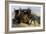 Quixote and Lion-Edmond Morin-Framed Art Print