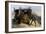 Quixote and Lion-Edmond Morin-Framed Art Print