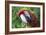 Quizacle Parrot-Karen Williams-Framed Photographic Print