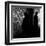 Quizio-Sharon Wish-Framed Premium Photographic Print