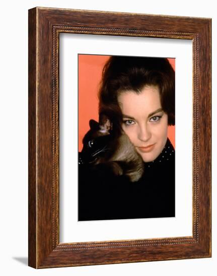 Quoi by neuf Pussycat WHAT'S NEW PUSSYCAT ?de CliveDonner with Romy Schneider, 1965 (photo)-null-Framed Photo