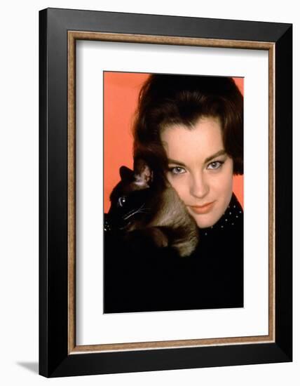 Quoi by neuf Pussycat WHAT'S NEW PUSSYCAT ?de CliveDonner with Romy Schneider, 1965 (photo)-null-Framed Photo