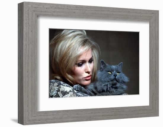 Quoi by neuf Pussycat WHAT'S NEW PUSSYCAT ?de CliveDonner with Ursula Andress, 1965 (photo)-null-Framed Photo