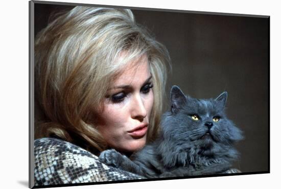 Quoi by neuf Pussycat WHAT'S NEW PUSSYCAT ?de CliveDonner with Ursula Andress, 1965 (photo)-null-Mounted Photo