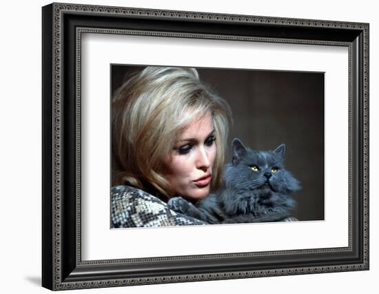 Quoi by neuf Pussycat WHAT'S NEW PUSSYCAT ?de CliveDonner with Ursula Andress, 1965 (photo)-null-Framed Photo