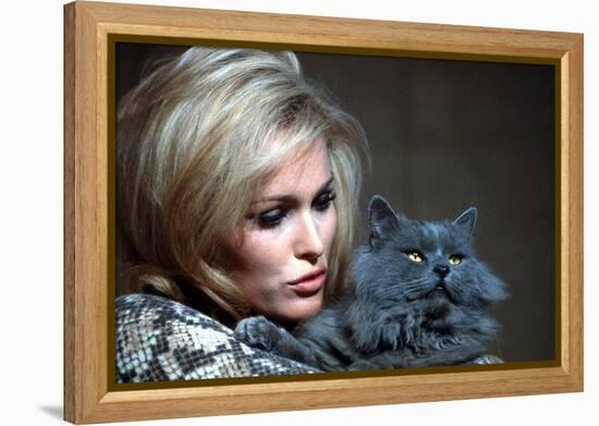 Quoi by neuf Pussycat WHAT'S NEW PUSSYCAT ?de CliveDonner with Ursula Andress, 1965 (photo)-null-Framed Stretched Canvas