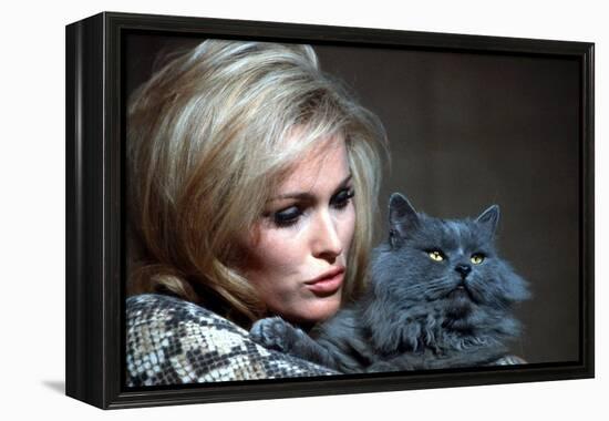 Quoi by neuf Pussycat WHAT'S NEW PUSSYCAT ?de CliveDonner with Ursula Andress, 1965 (photo)-null-Framed Stretched Canvas