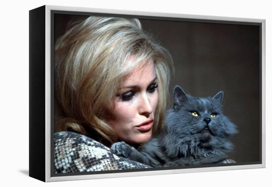 Quoi by neuf Pussycat WHAT'S NEW PUSSYCAT ?de CliveDonner with Ursula Andress, 1965 (photo)-null-Framed Stretched Canvas