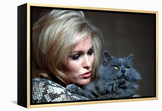 Quoi by neuf Pussycat WHAT'S NEW PUSSYCAT ?de CliveDonner with Ursula Andress, 1965 (photo)-null-Framed Stretched Canvas