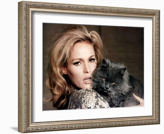 Quoi by neuf Pussycat WHAT'S NEW PUSSYCAT ?de CliveDonner with Ursula Andress, 1965 (photo)-null-Framed Photo