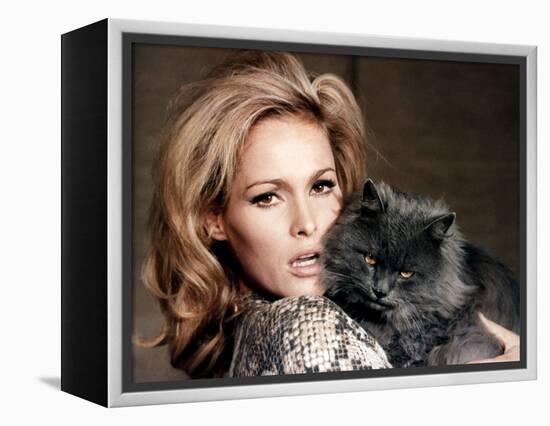 Quoi by neuf Pussycat WHAT'S NEW PUSSYCAT ?de CliveDonner with Ursula Andress, 1965 (photo)-null-Framed Stretched Canvas