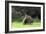 Quokka Female and Young-null-Framed Photographic Print