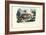 Quoll, 1863-79-Raimundo Petraroja-Framed Giclee Print