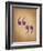 Quote Marks-Jeanne Stevenson-Framed Giclee Print