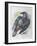 Quoth the Raven-Oxana Zaika-Framed Giclee Print