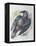 Quoth the Raven-Oxana Zaika-Framed Premier Image Canvas