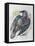 Quoth the Raven-Oxana Zaika-Framed Premier Image Canvas