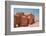 Qusayr Amra desert castle,  Jordan, Middle East-Francesco Fanti-Framed Photographic Print