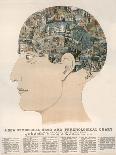 Phrenological Head-R.b.d. Wells-Laminated Photographic Print