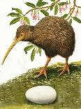 The Kiwi-R. B. Davis-Framed Giclee Print