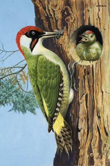 Giclee Print, , large